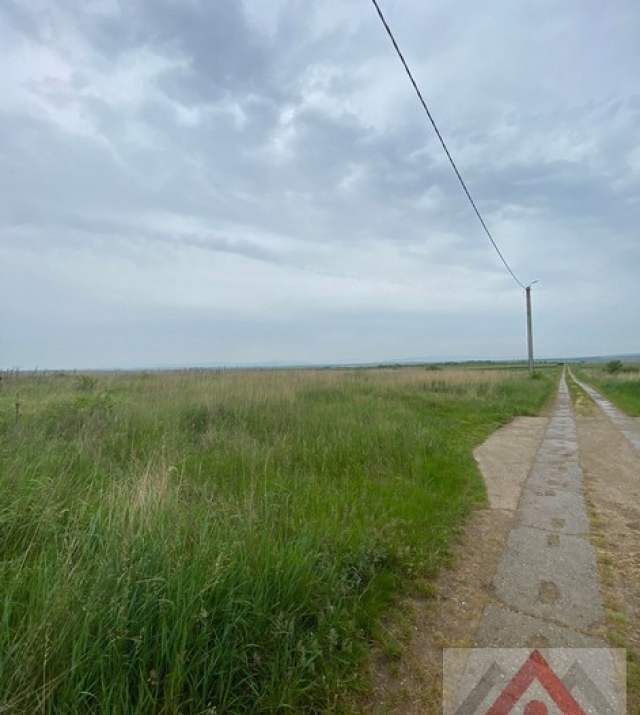 a1050-IntravilanViileSatu Mare02.JPG